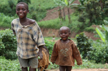 790a3b86705480a5aefef21a7531e63aa3619ef9